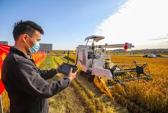 糧食智能化.png 糧食智能化.png