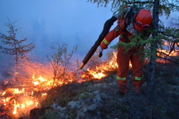 森林火災(zāi).png 森林火災(zāi).png