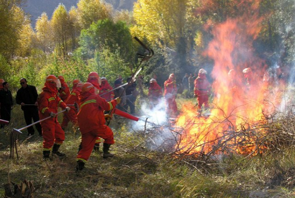 森林火災(zāi).png 森林火災(zāi).png